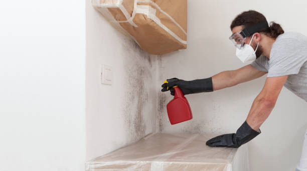 Professional Basement Mold Removal technician working in Island Park, NY