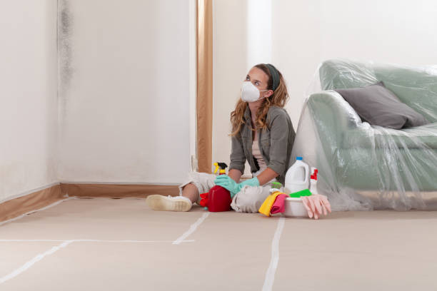 Reliable Basement Mold Removal contractor in Island Park, NY by WQB Mold Removal